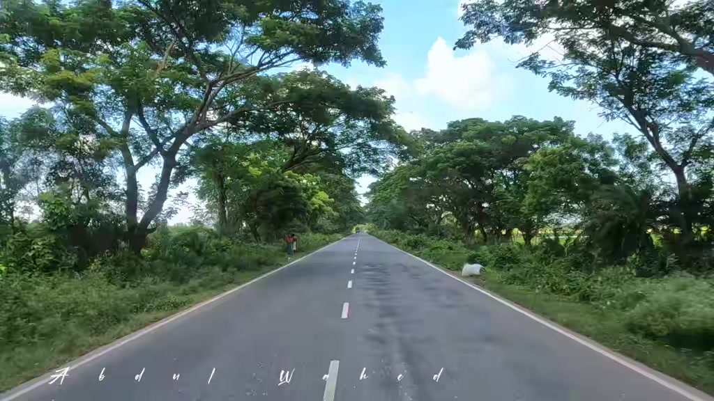 @Bus Lover Bd
