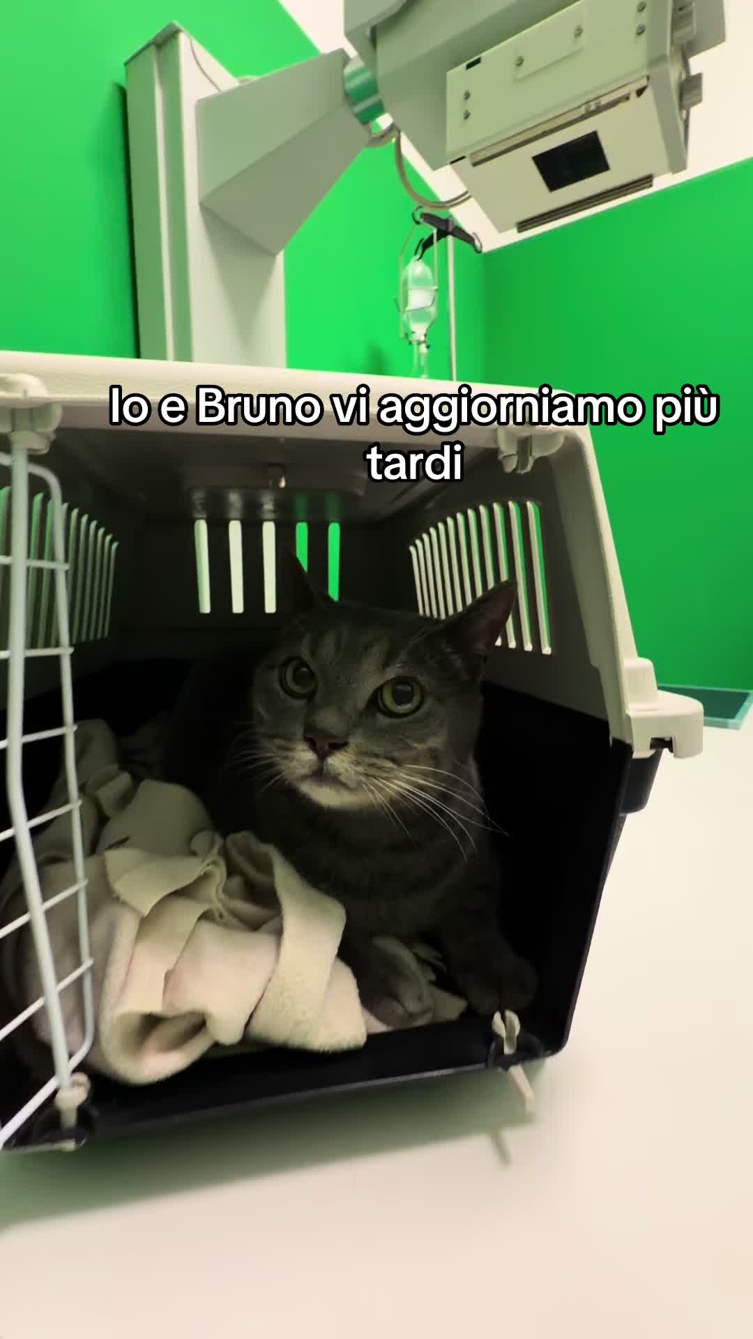 @MarziaBrunoEdgar&Virgi