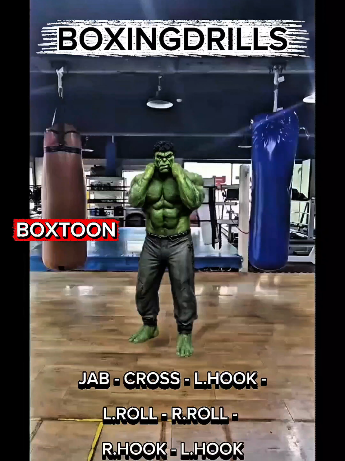 @복툰 ( BOXTOON )