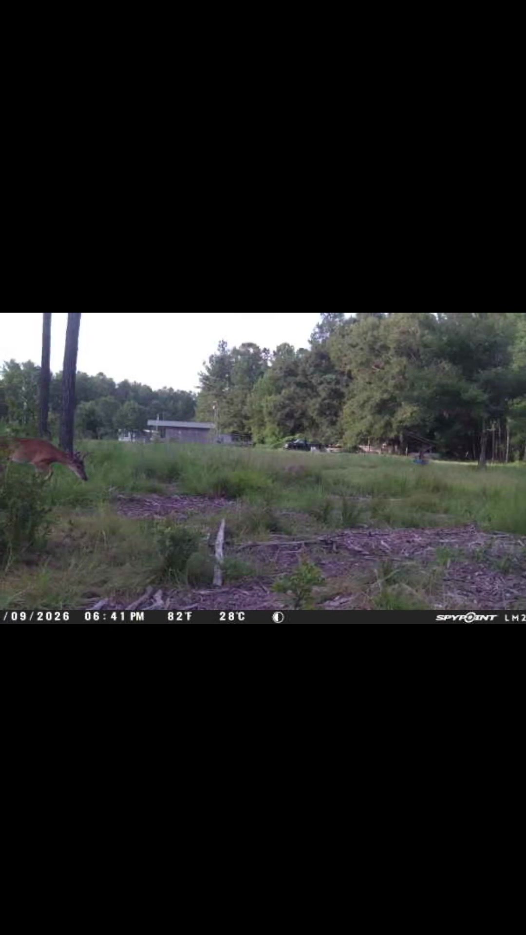@devotedsportsmen23