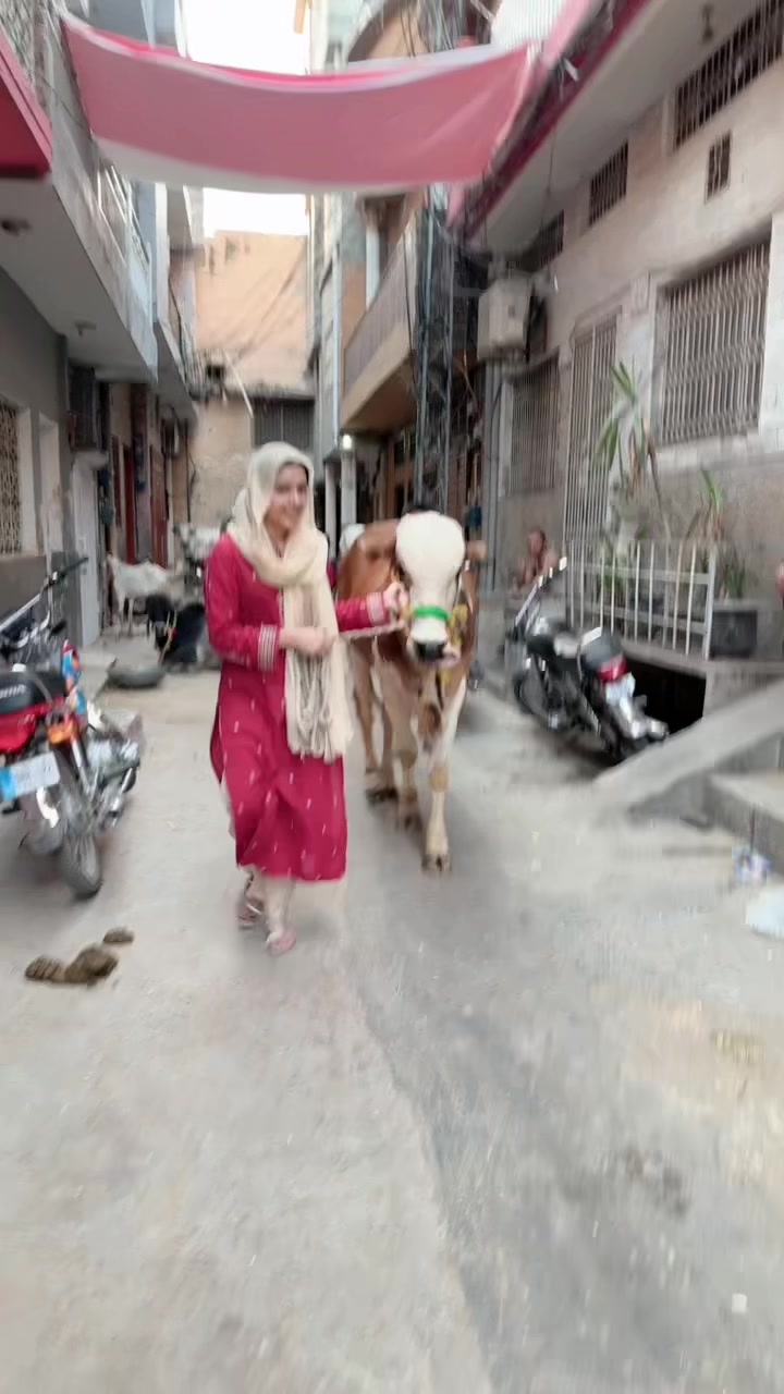 @Bismakanwal❤️
