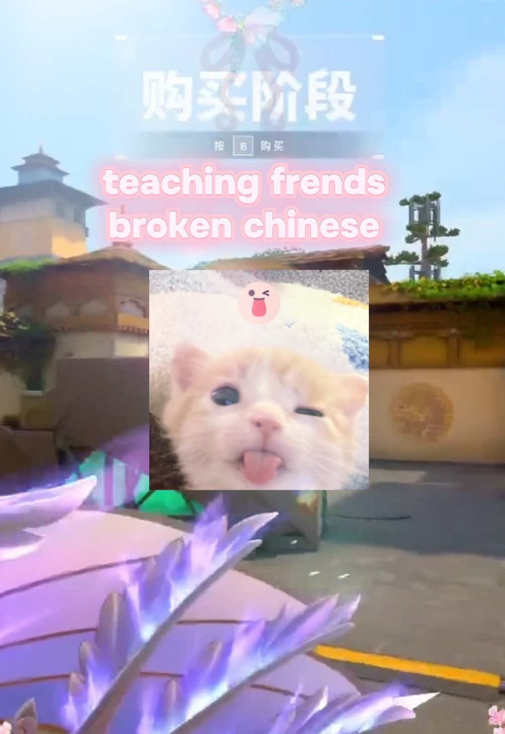 @𝓛ulu ࣪˖ ִֶָ𐀔