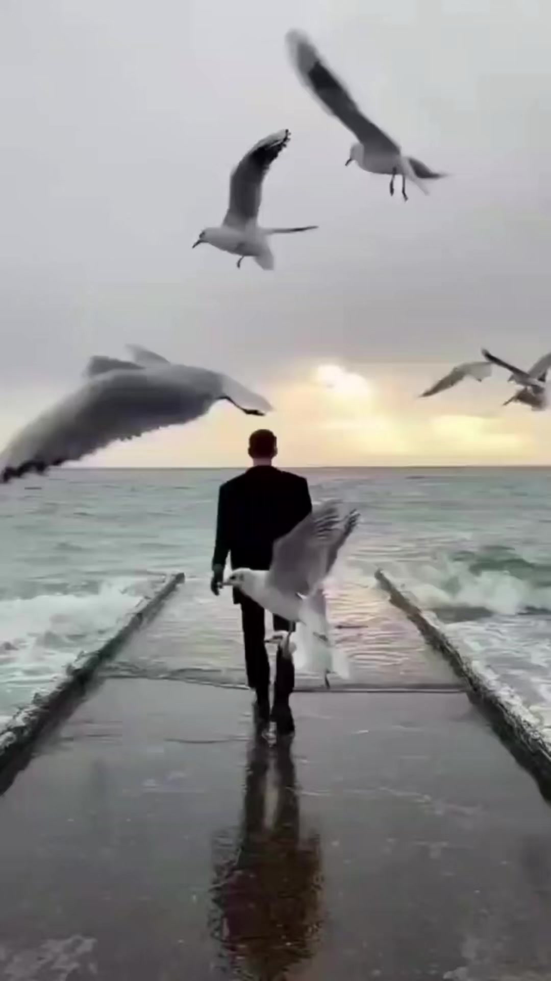 @Raja 🇨🇦🦅🇨🇦