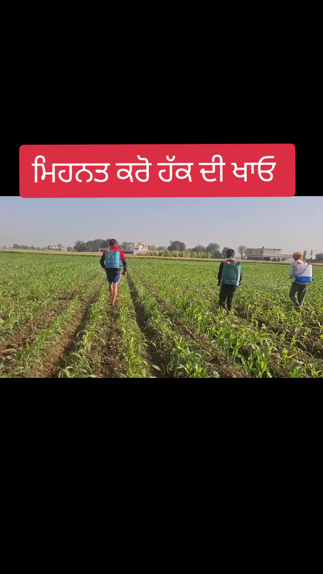@MandeepBainspb12