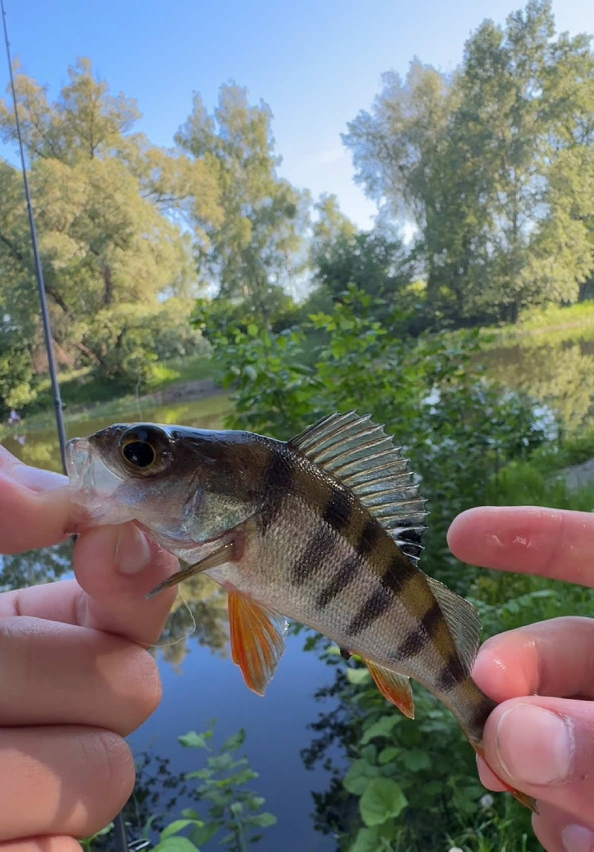 @𝗧𝗚.𝗗𝗬𝗫𝗙𝗜𝗦𝗛🎣