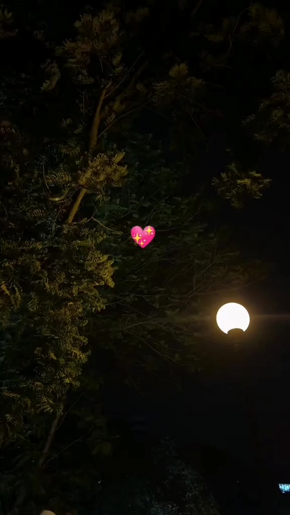 @Ꭾʀ!ᴍᴇ"ᴀʟɪ"