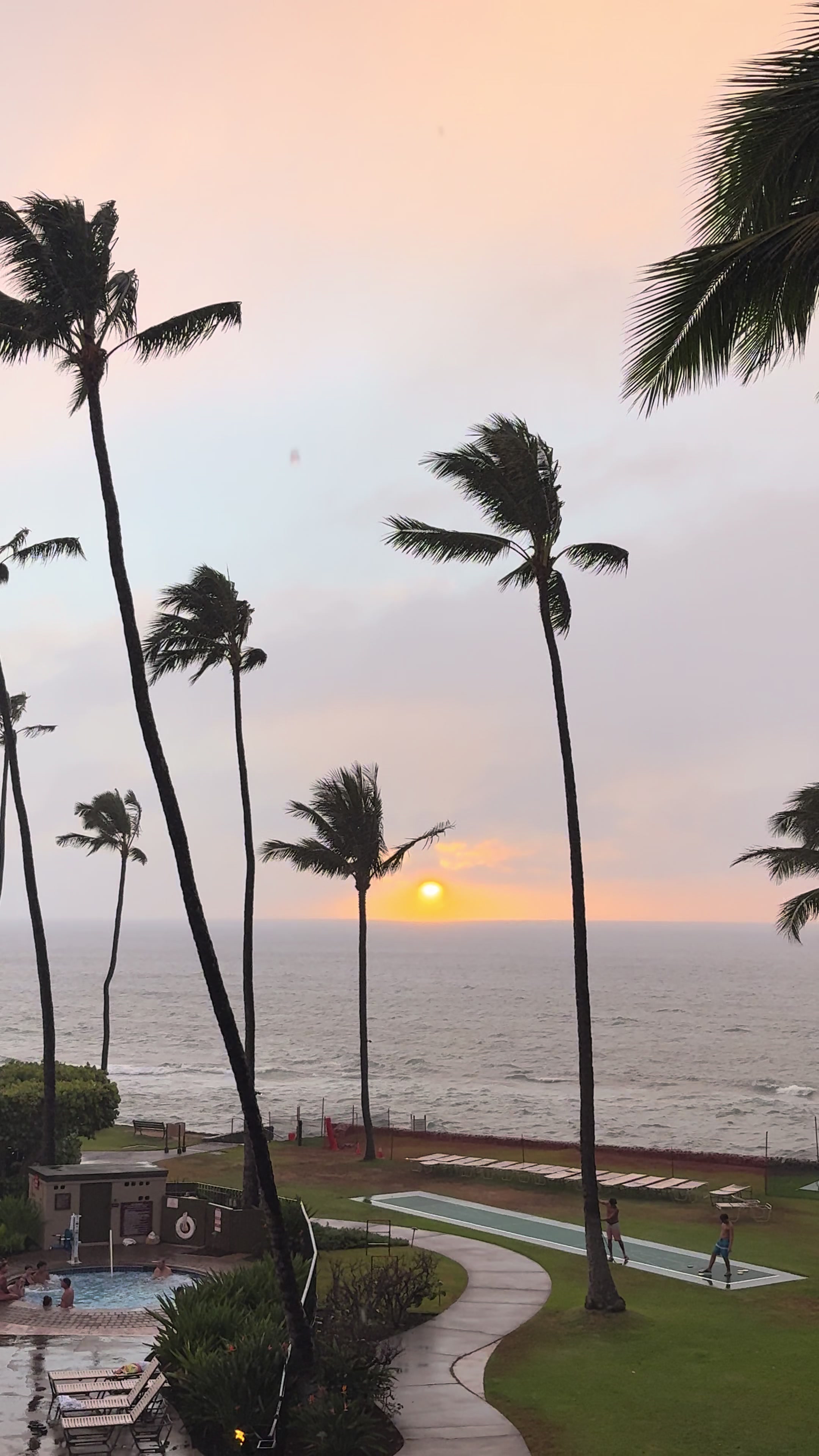 @Mauilani