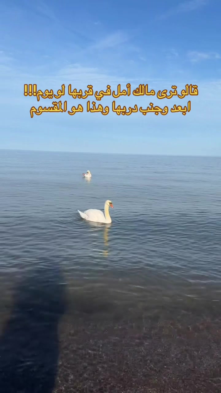 @Henda hayek