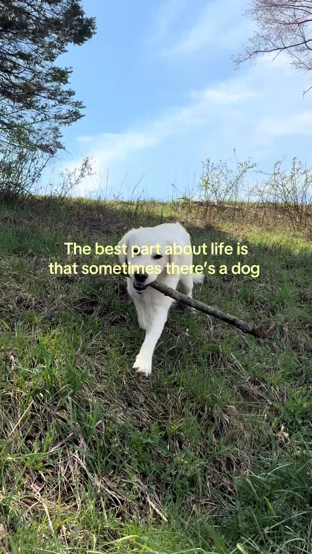 @Lexie and Poe! ๐ซ