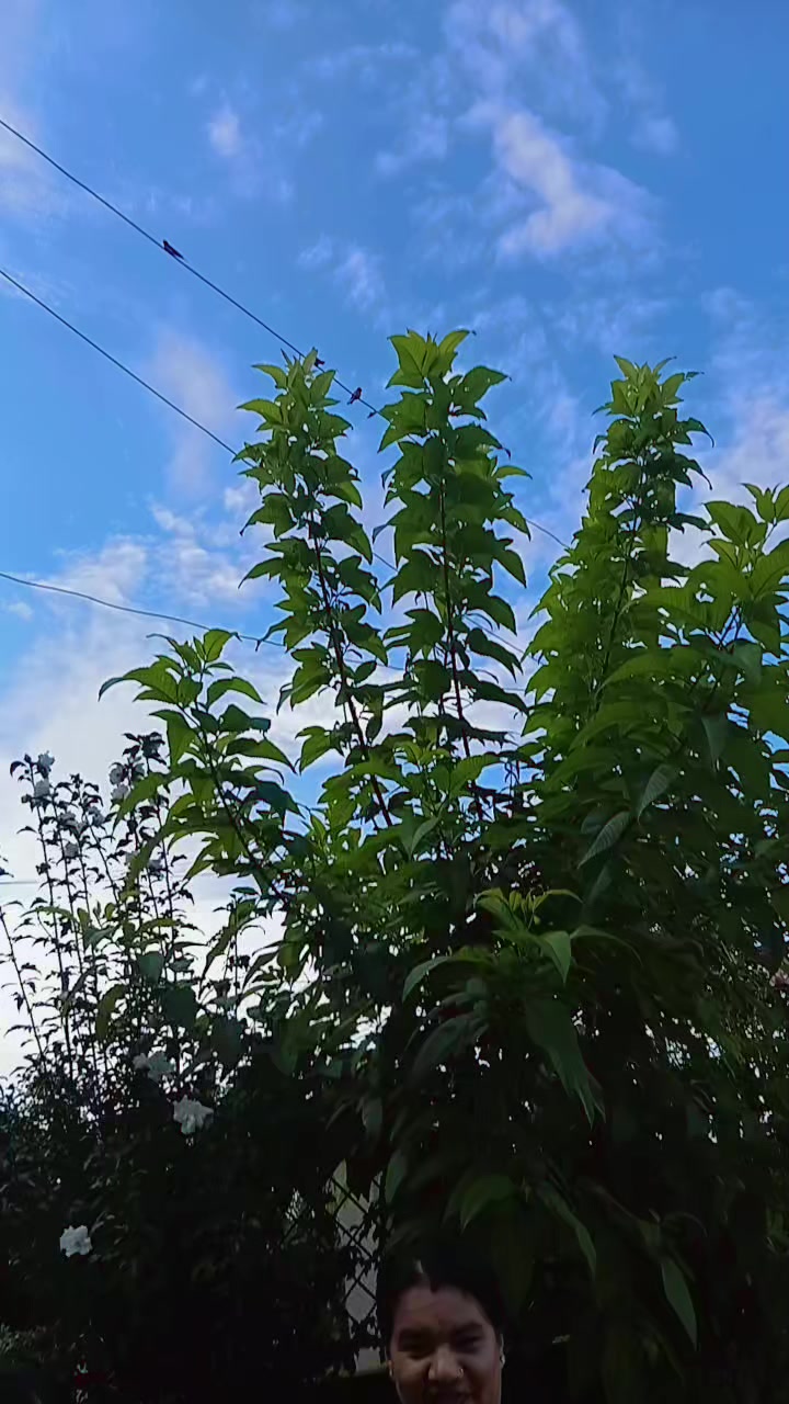 @Ruku Adhikari