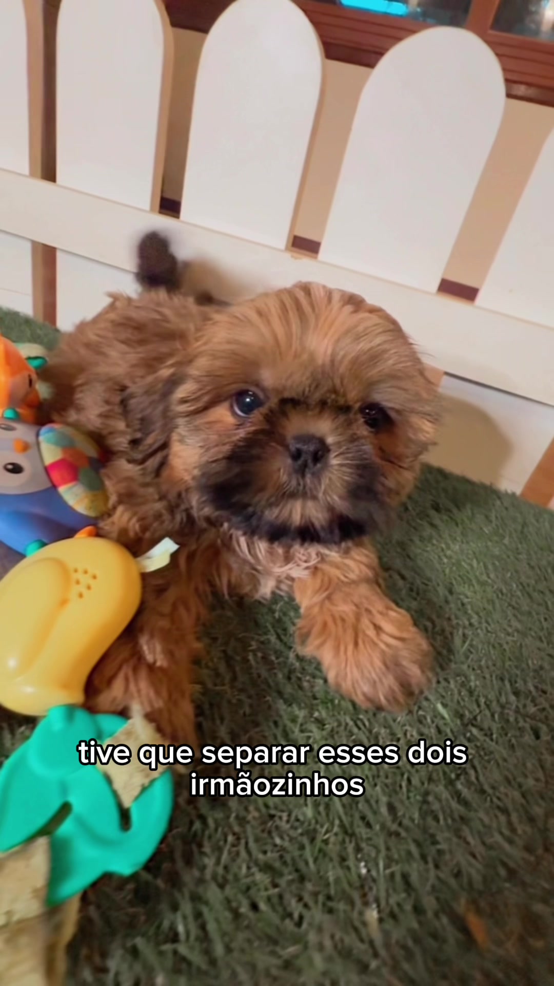@Casa dos Ursinhos