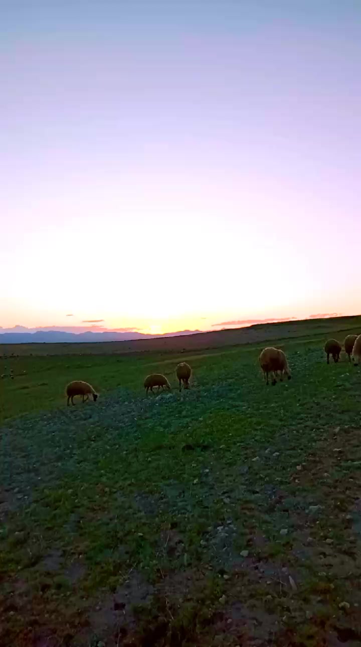 @İbrahim Kılıç