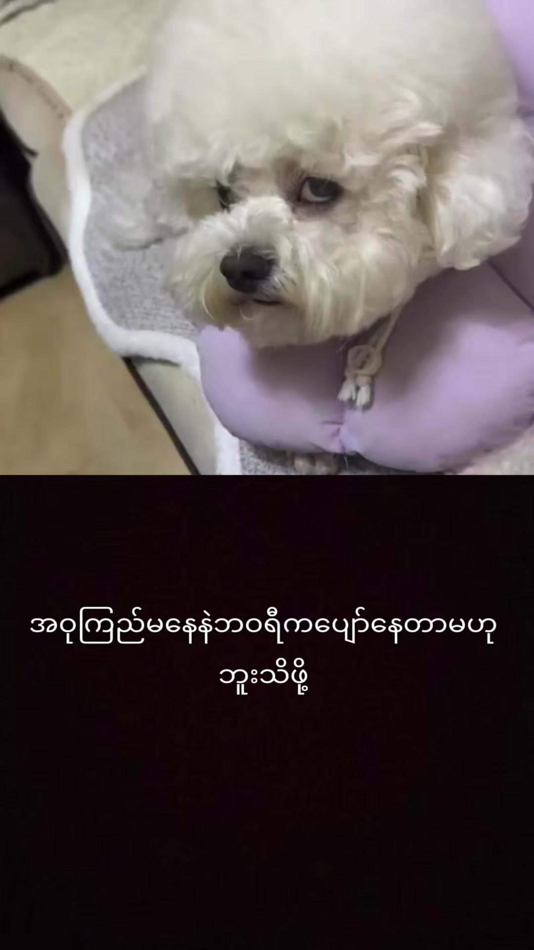 @myohlaingwin