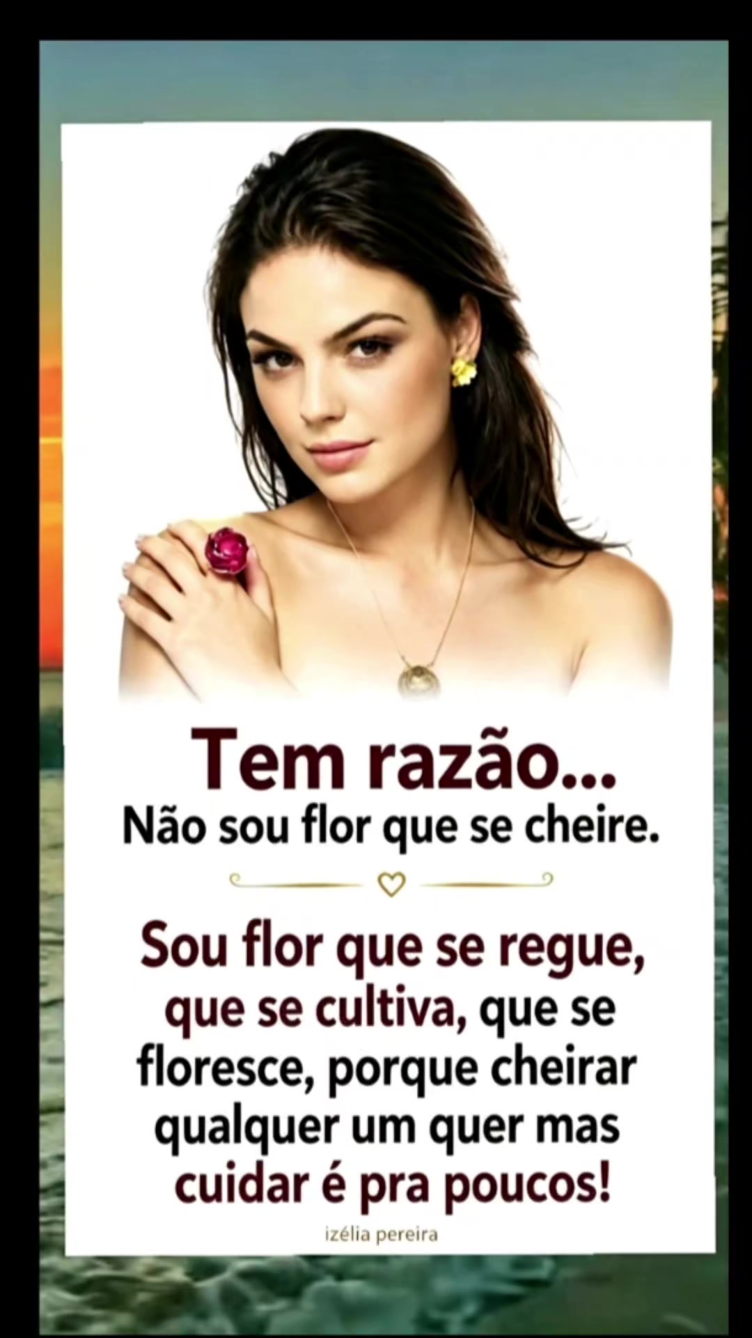 @Gaivota