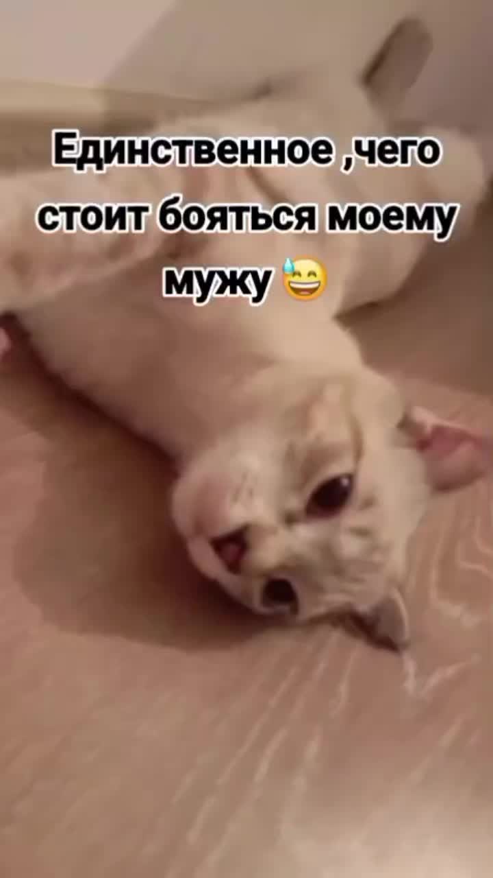 @🪷Альфия Ибрагимова🪷