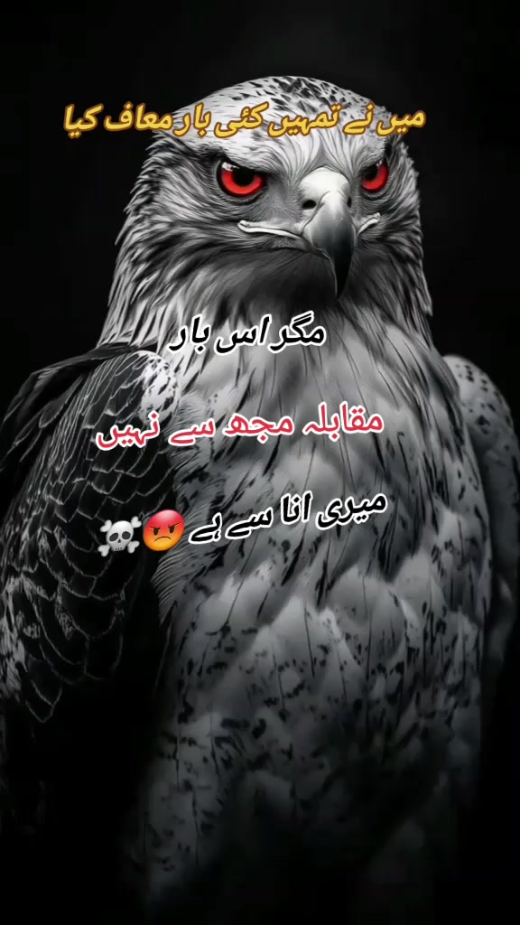 @tahirdishmaster🇵🇰