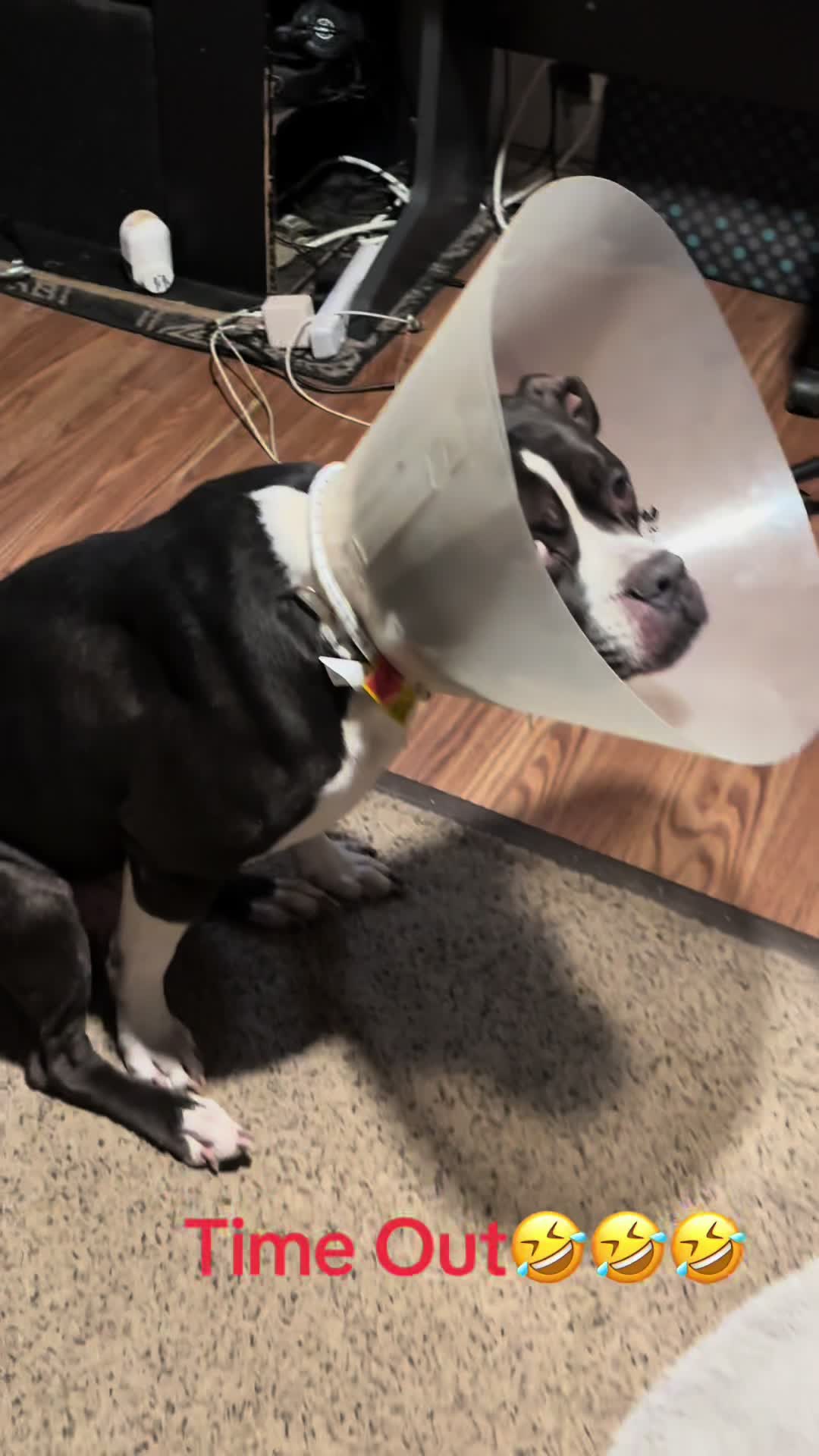 @blackshawntv