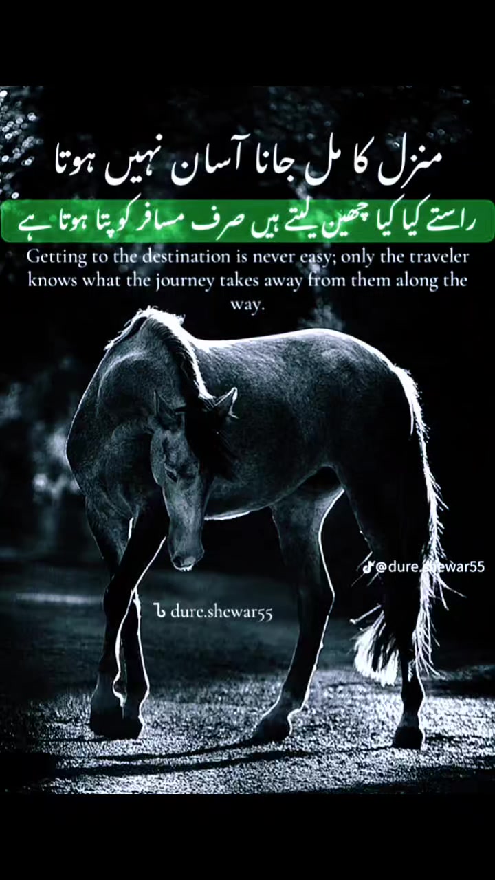 @✌️ silent killer 🇵🇰