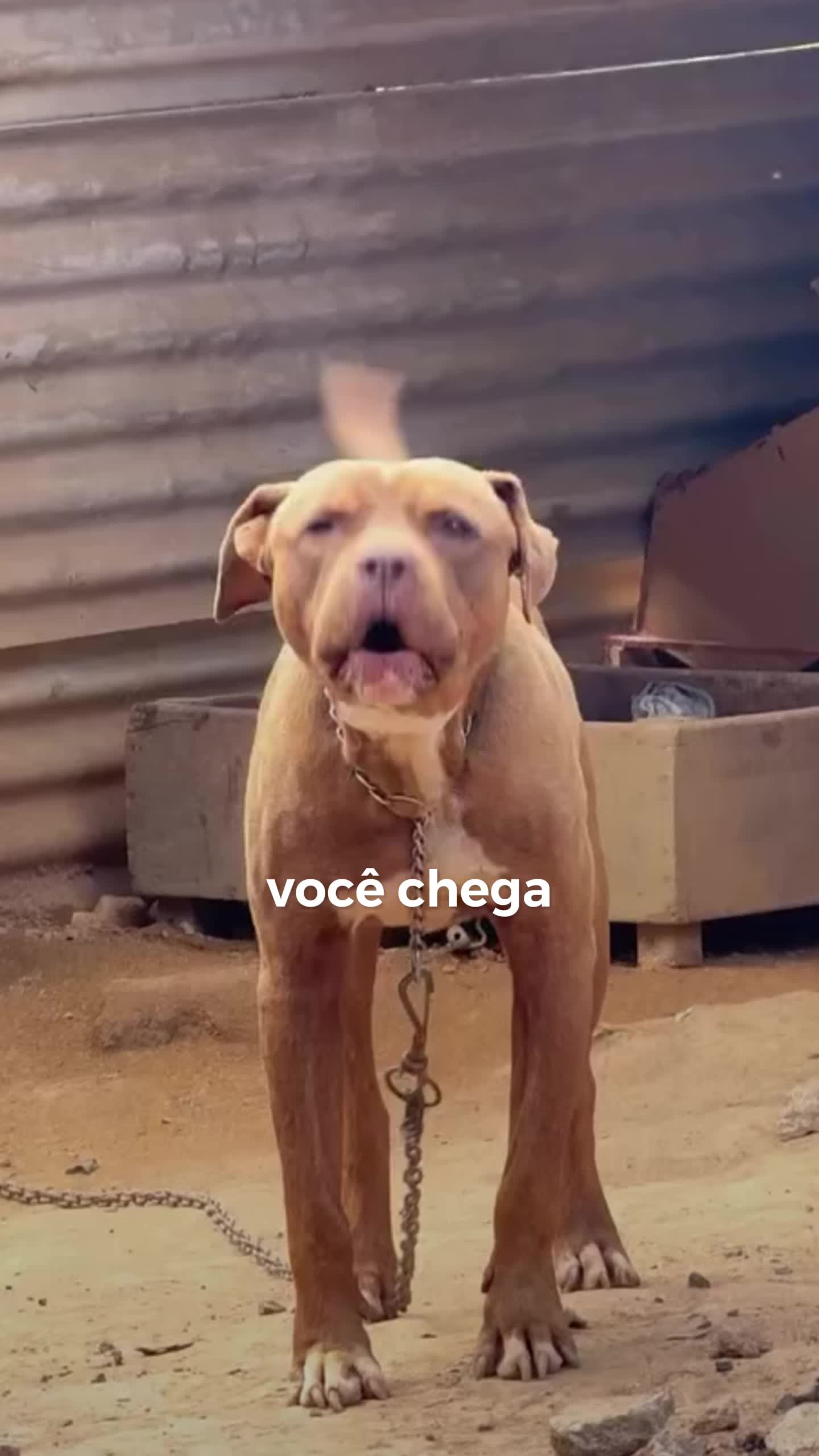 @julinhocasares