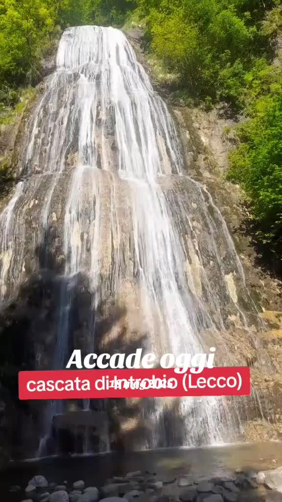 @Kismo 83 official
