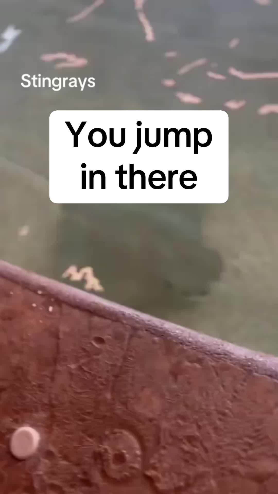 @Countree1978