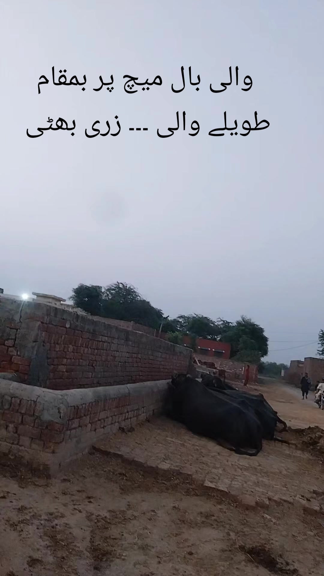 @Qasim07