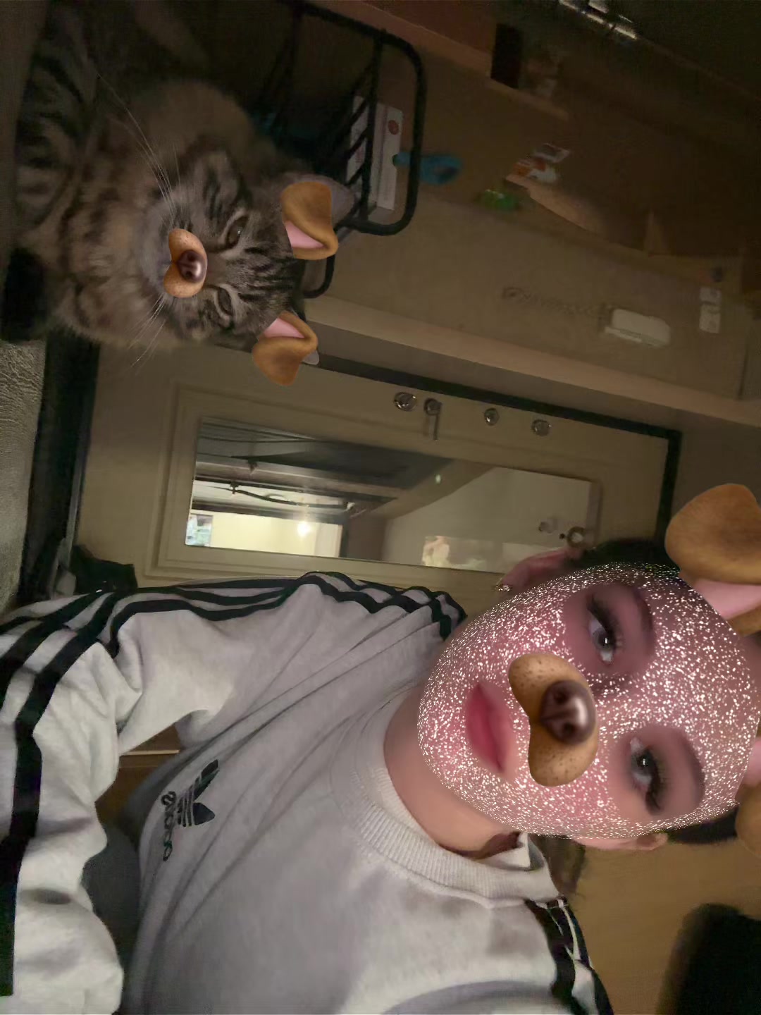 @tigresss333🥷🏻