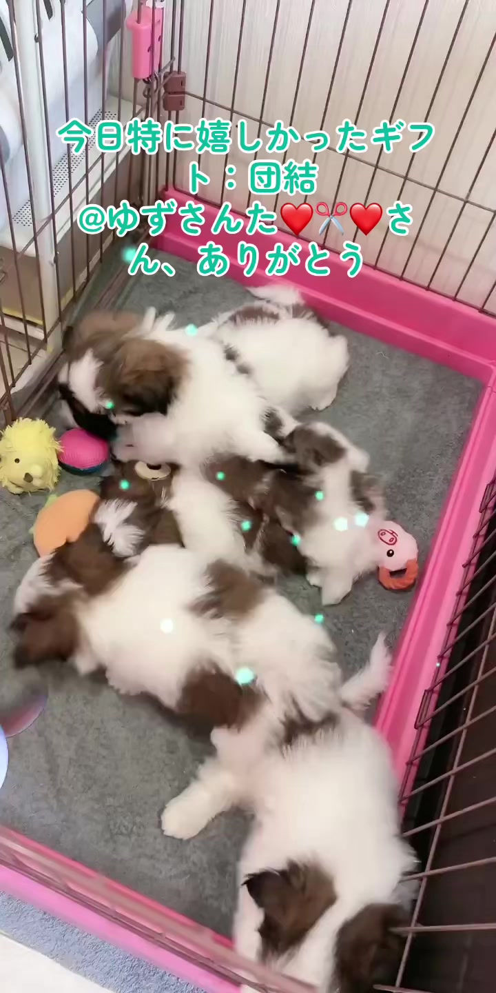 @❤️ぷりママ❤️