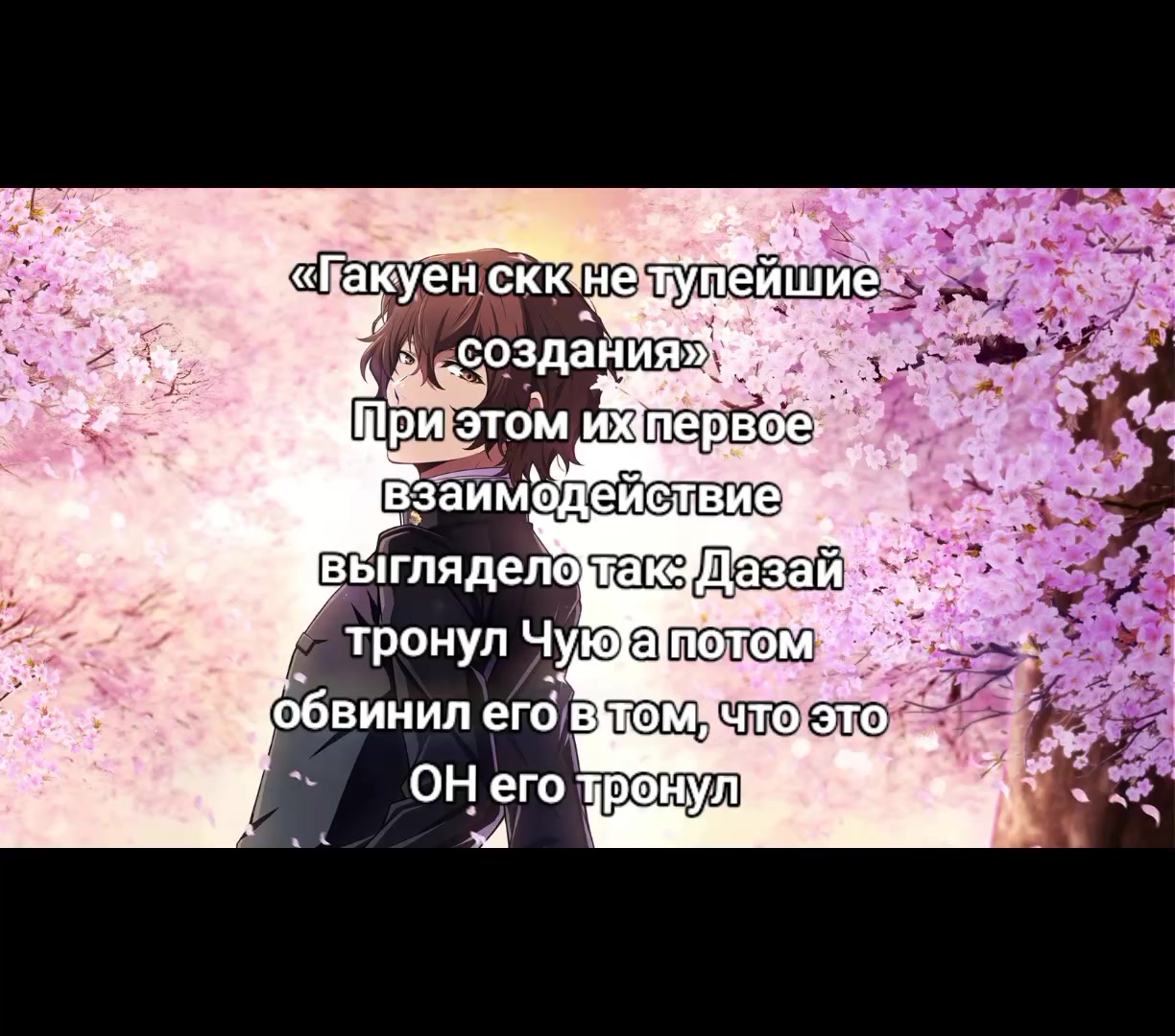 @amie