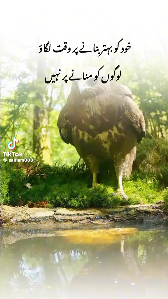 @🌹🐦🩵RAHEEL🌹MUGHAL🌹