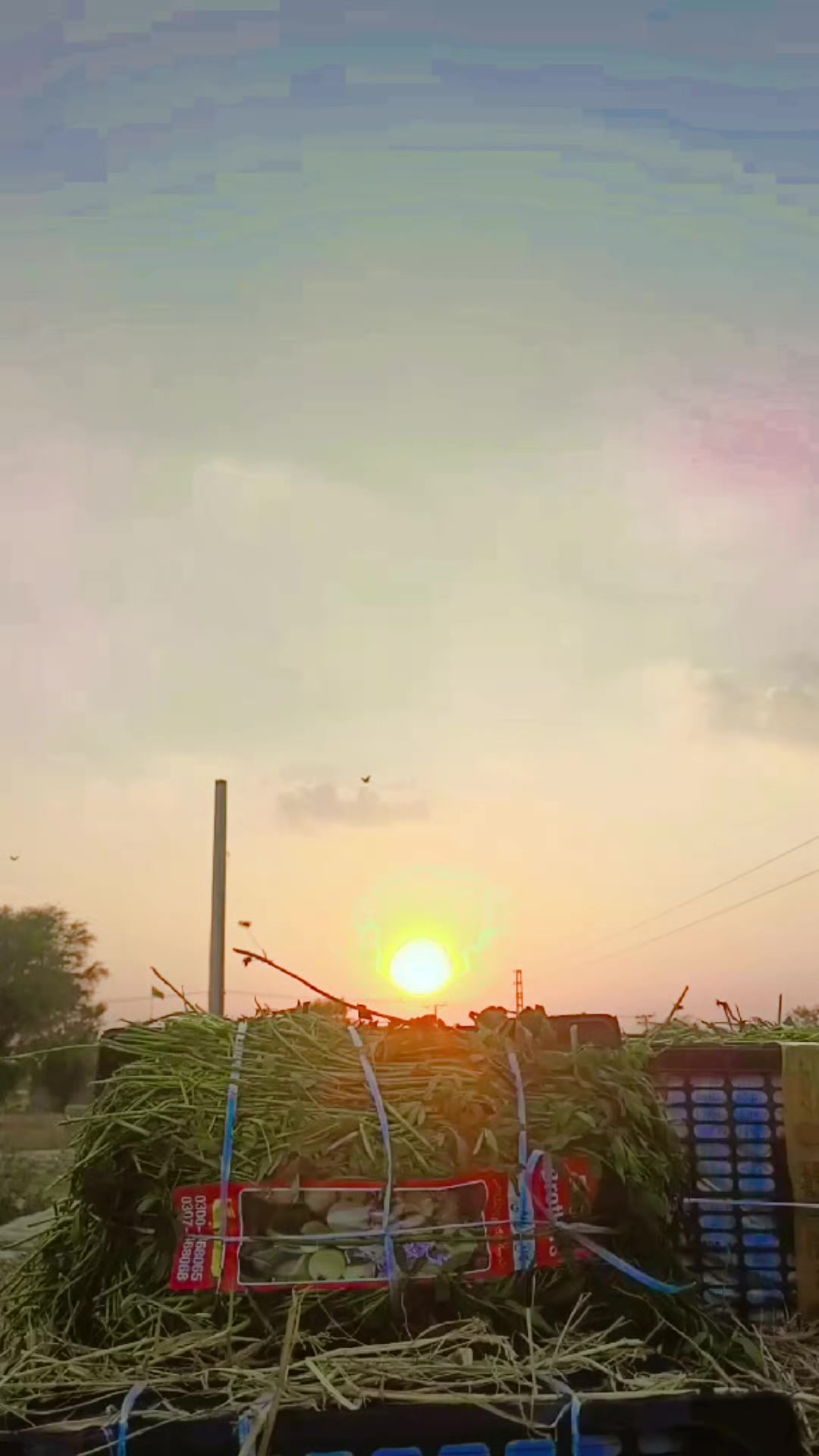@𝘼❤🩹 کمالیہ