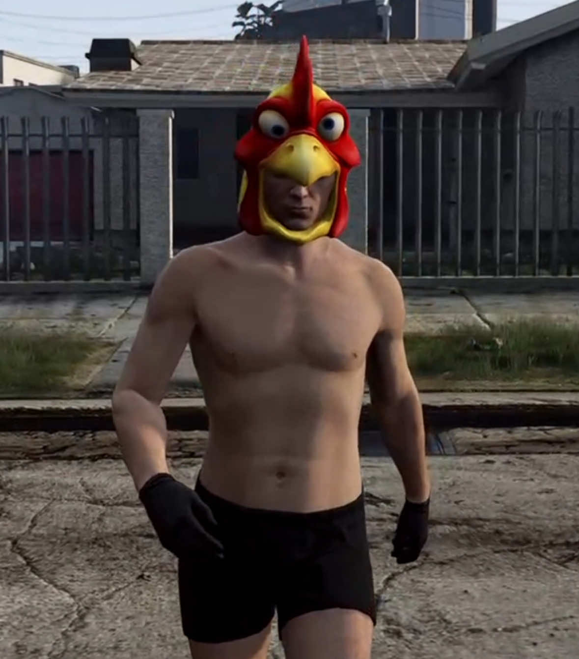 @atom_chicken