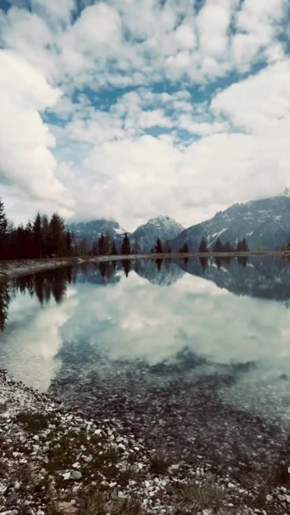 @Tomuleț _12
