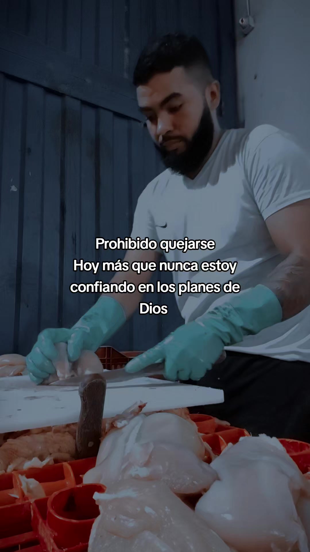 @ROGERS PEREZ🦅🐣 💞 ꧂