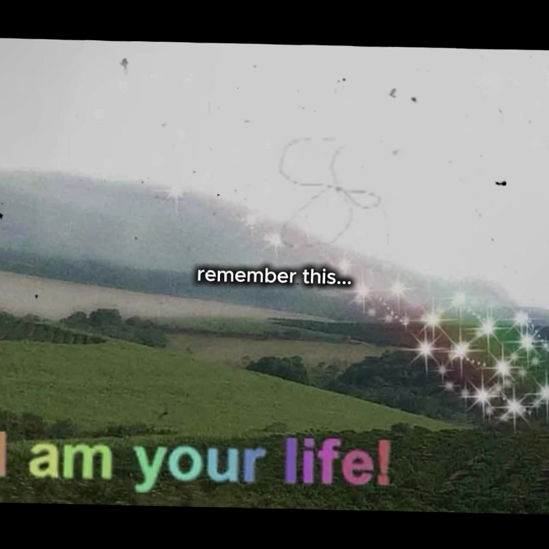 @dreamlifeclub