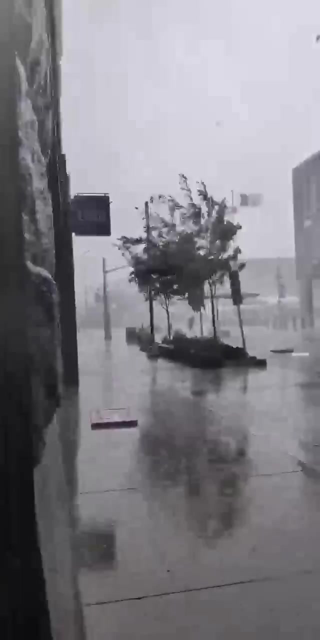 @Waterloo.region.911.vehicles