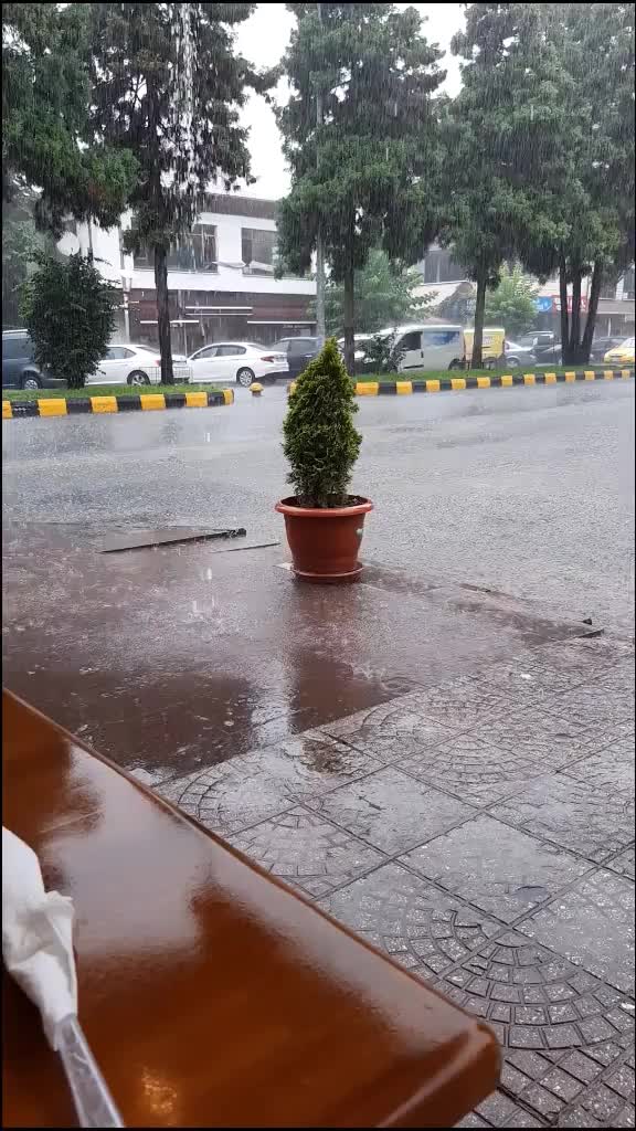 @DİLEK  Damarcı 61 ❤️💙😎🎶🎶