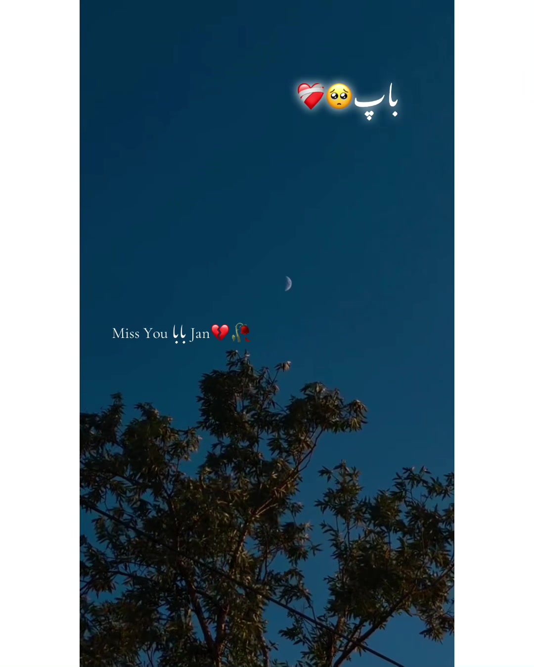 @⚜️𝐊𝐇𝐎𝐊𝐇𝐀𝐑❤️🩹