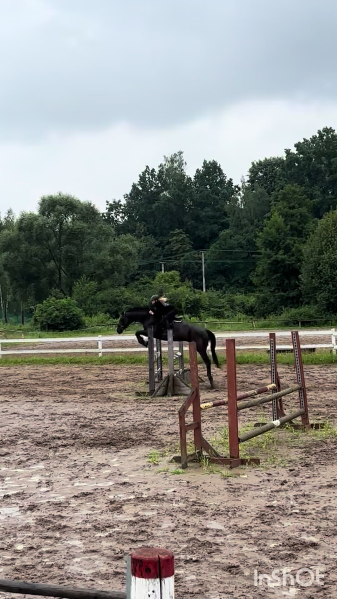 @💋🐴