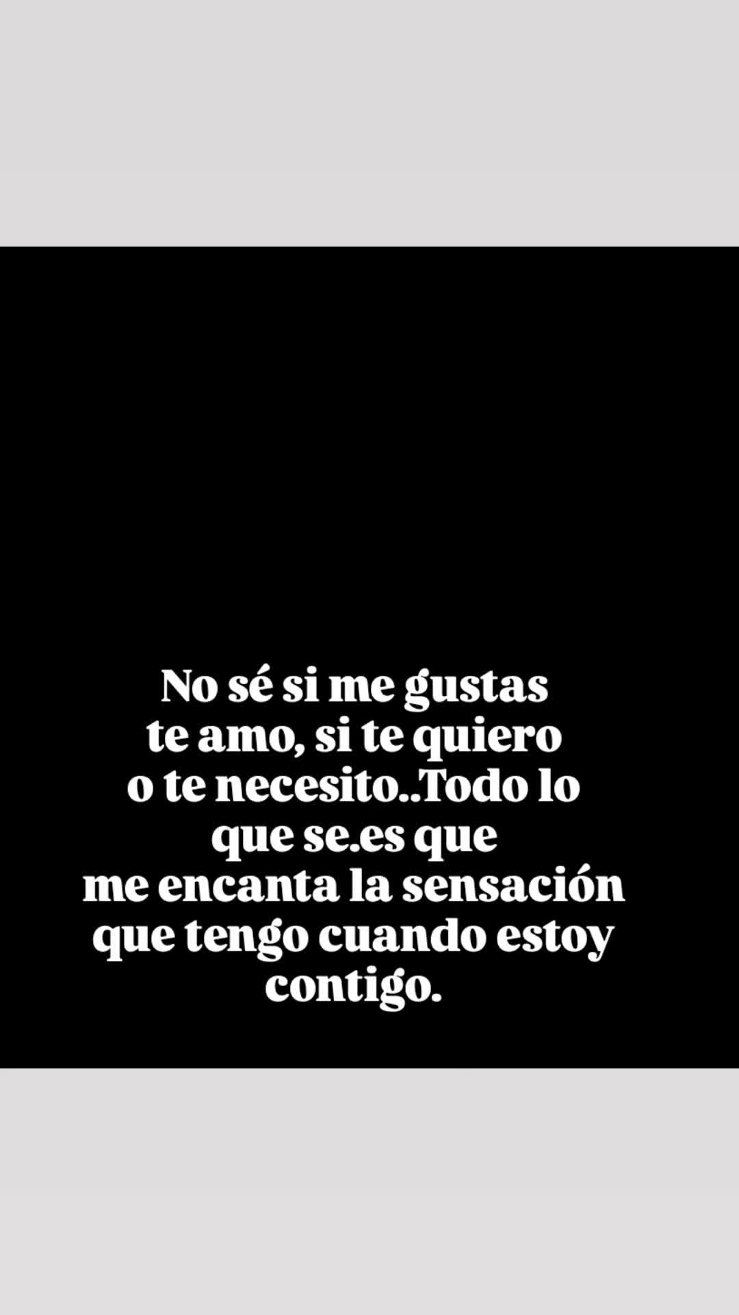 @el panda solitario