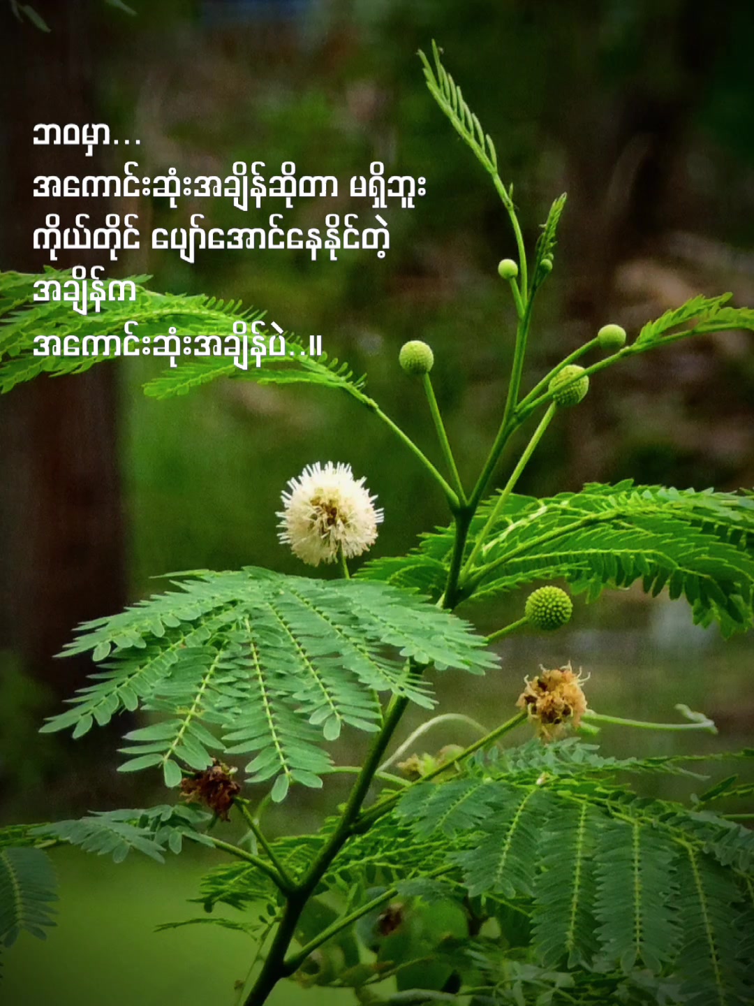 @@TikToker