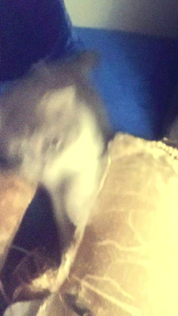 @𝓝𝓸𝓻𝓽𝓱𝔀𝔁𝔁𝓽🖤