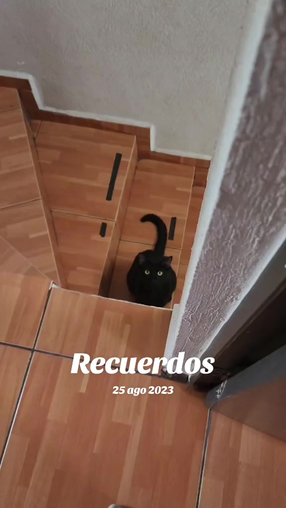 @Gaby Gonzalez