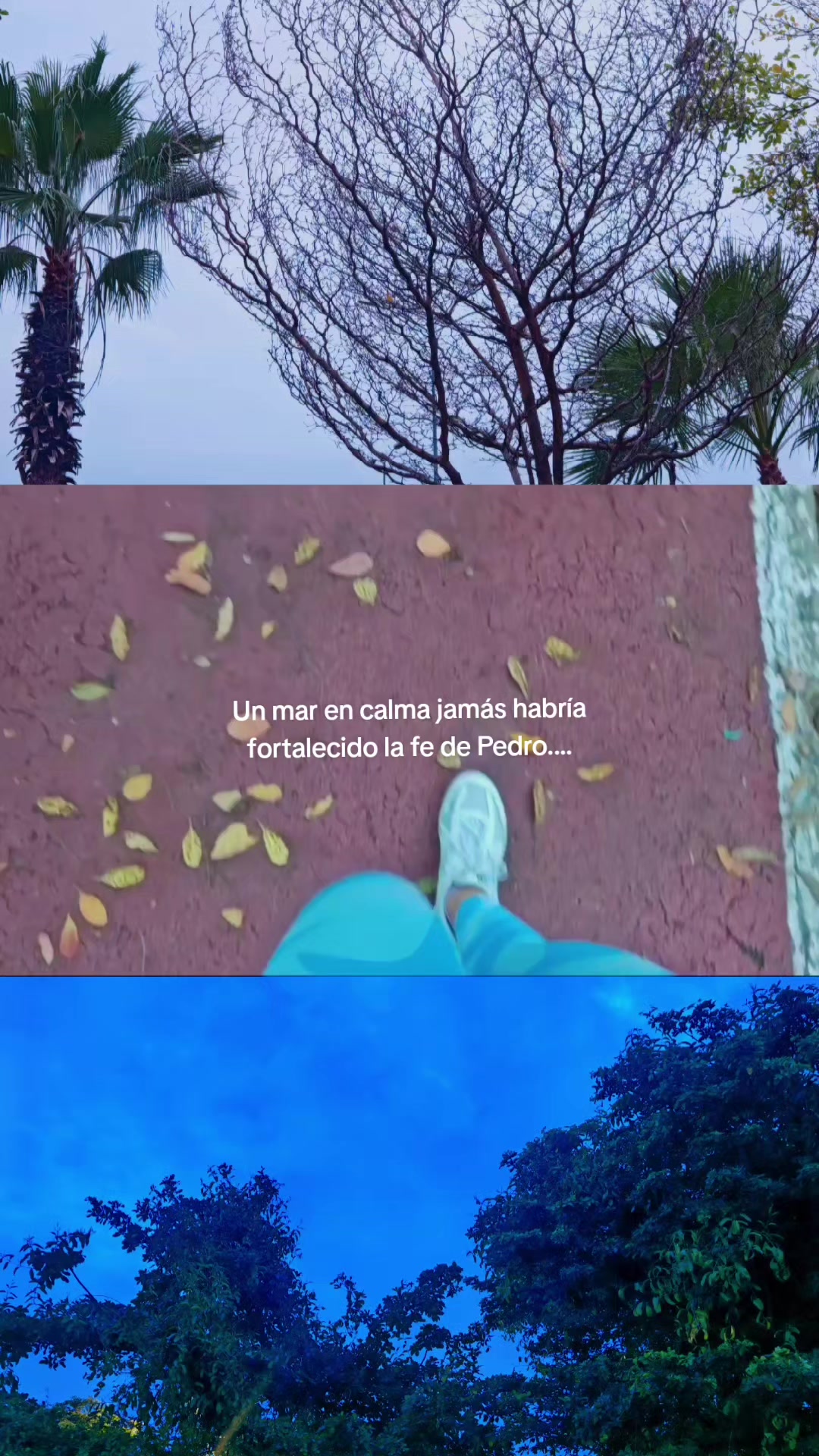 @Ann Bloom 🌷