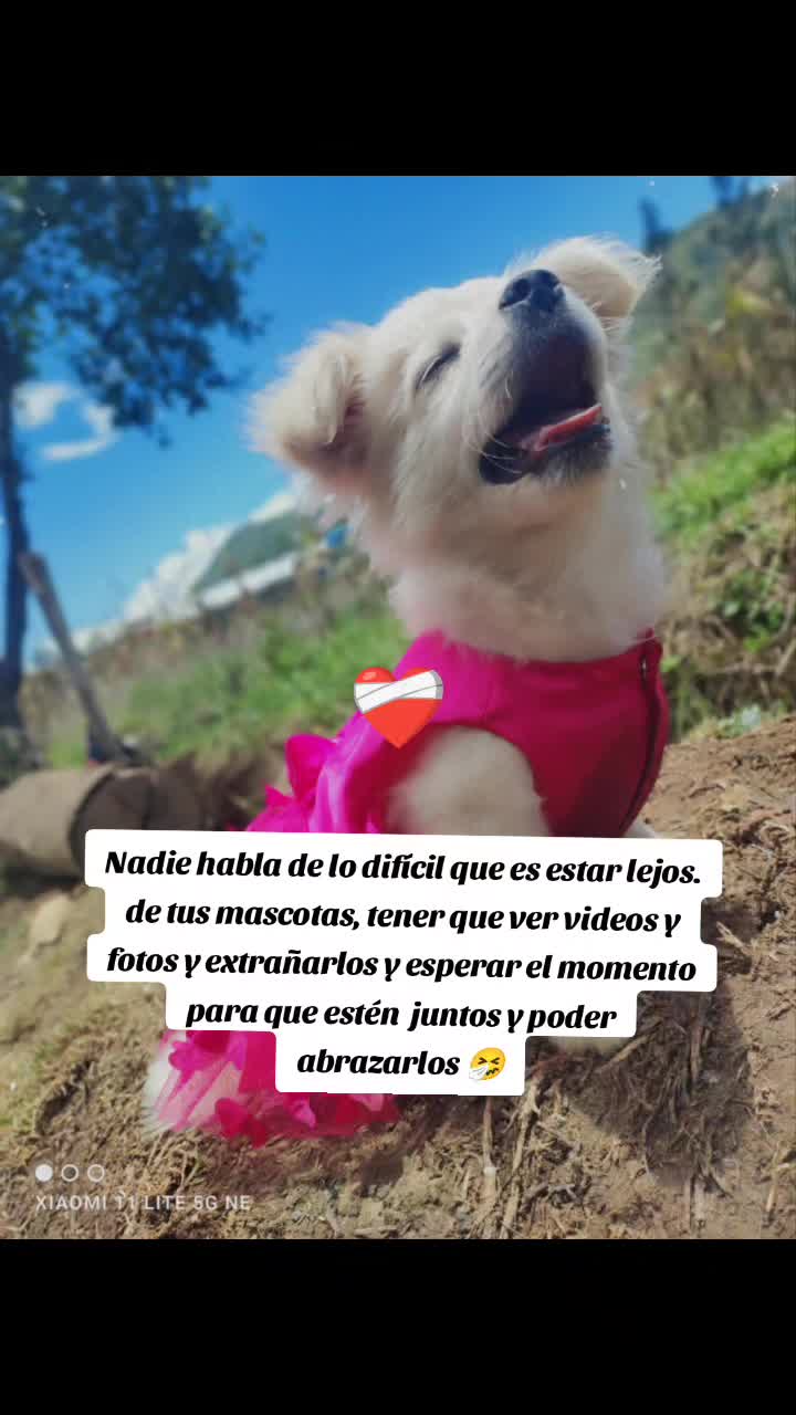@ANGELES💗LUZ🐼