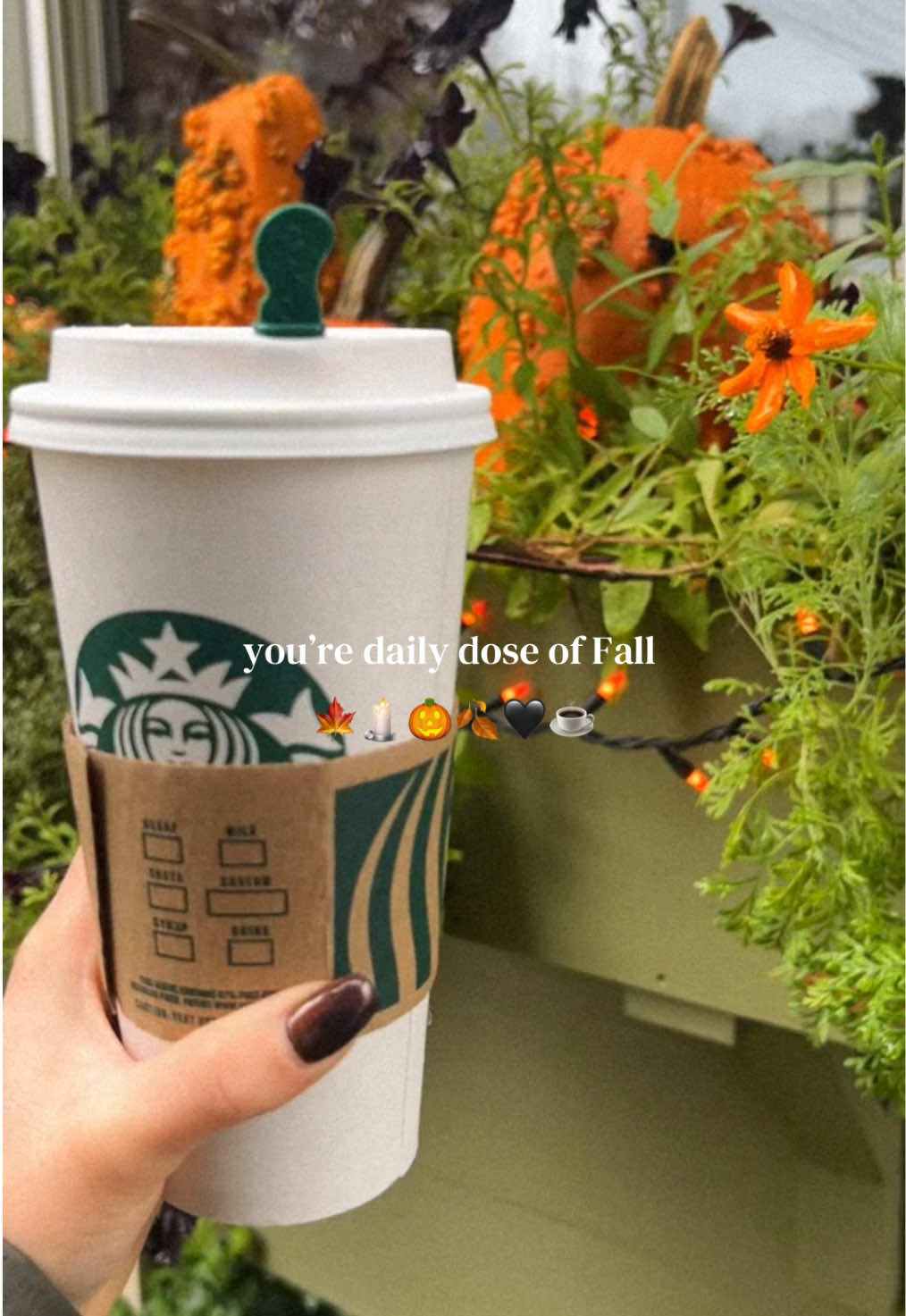 @Fall Girl Diaries ๐