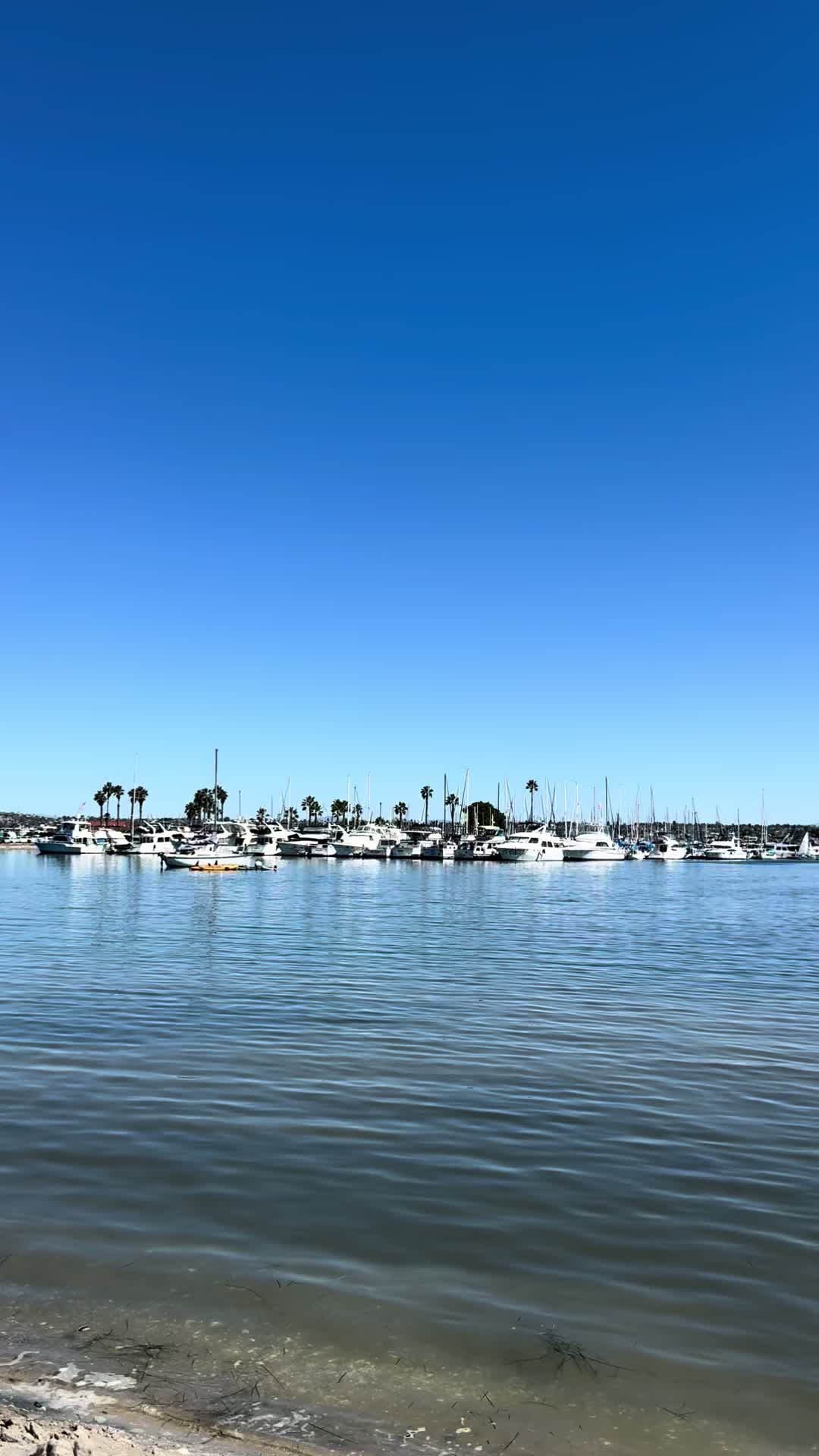 @San Diego Beach Review
