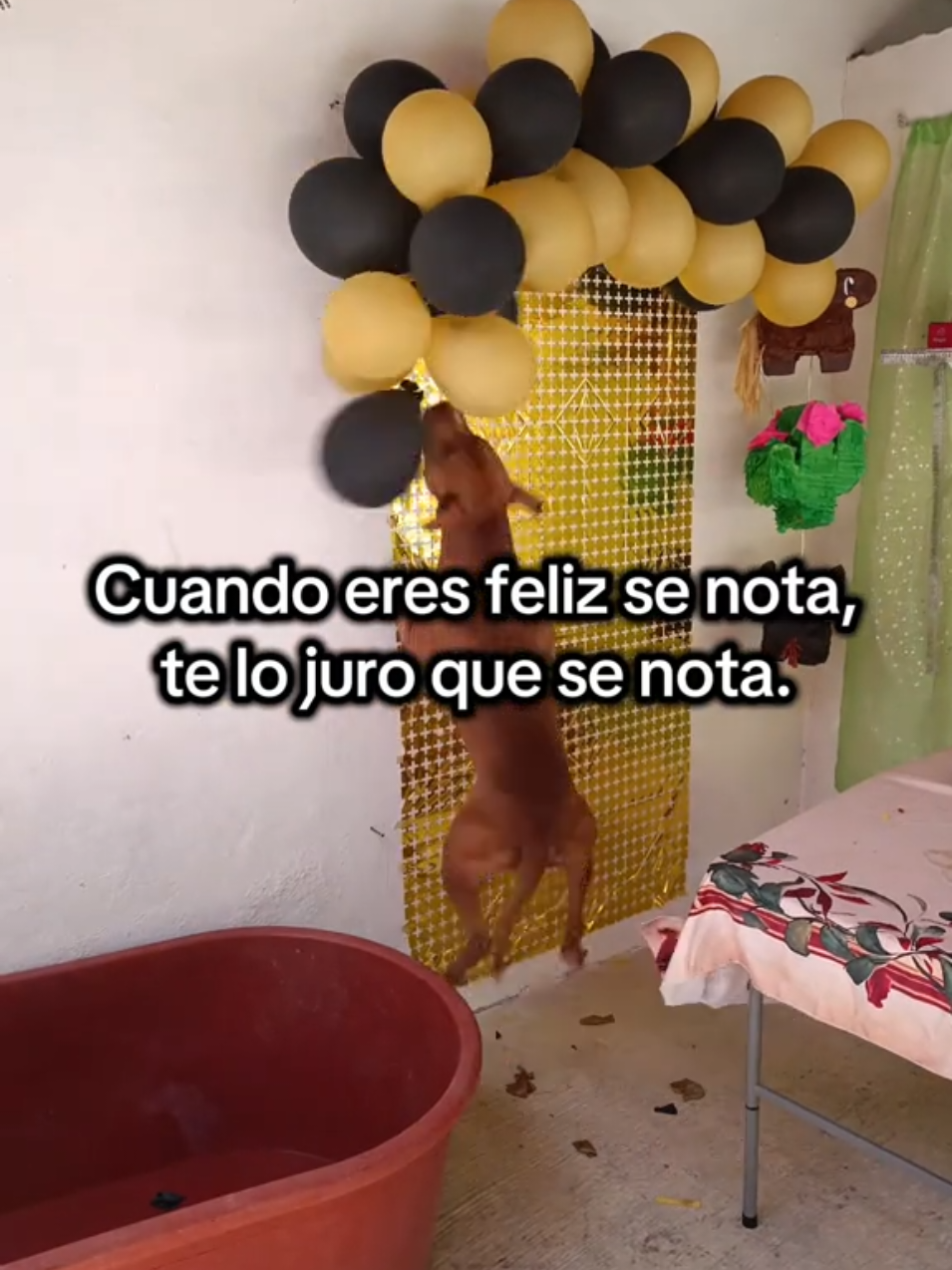 @Roger Sendis