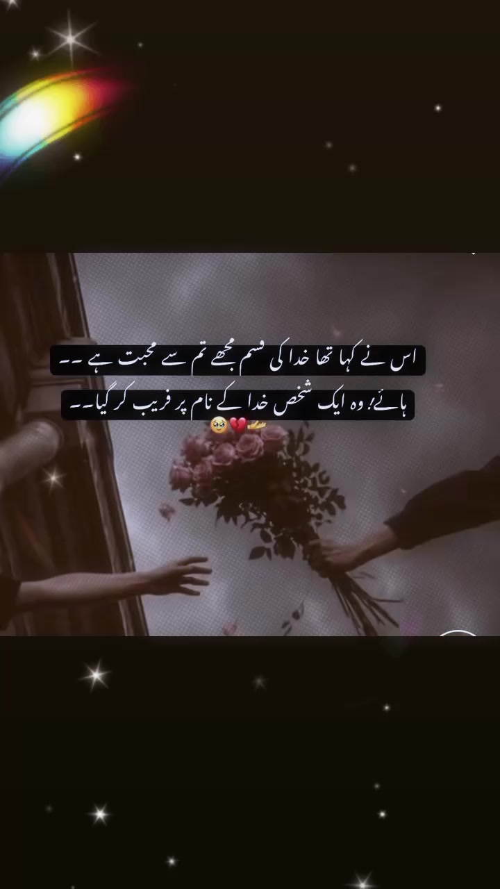 @Mr--Villain ☑