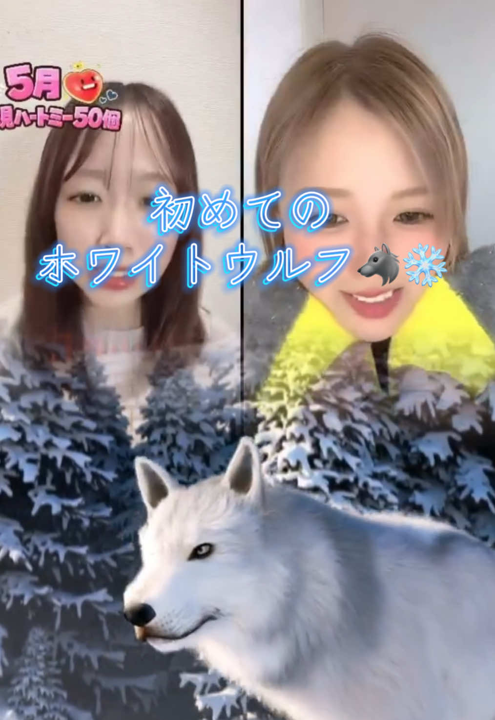 @ひなた🐻&zwj;❄️🌼
